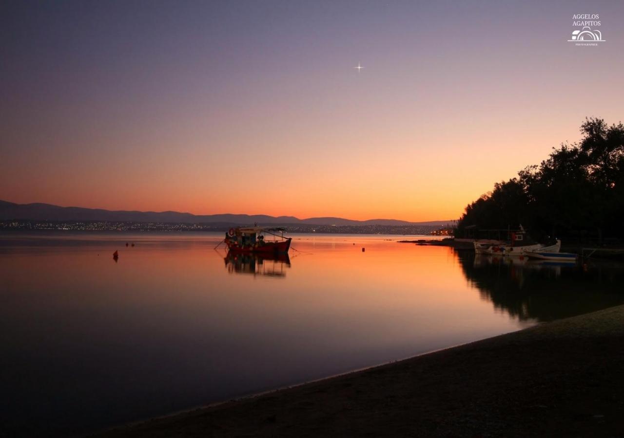 Philoxenia Hotel Lefkandi Chalkidas Bagian luar foto